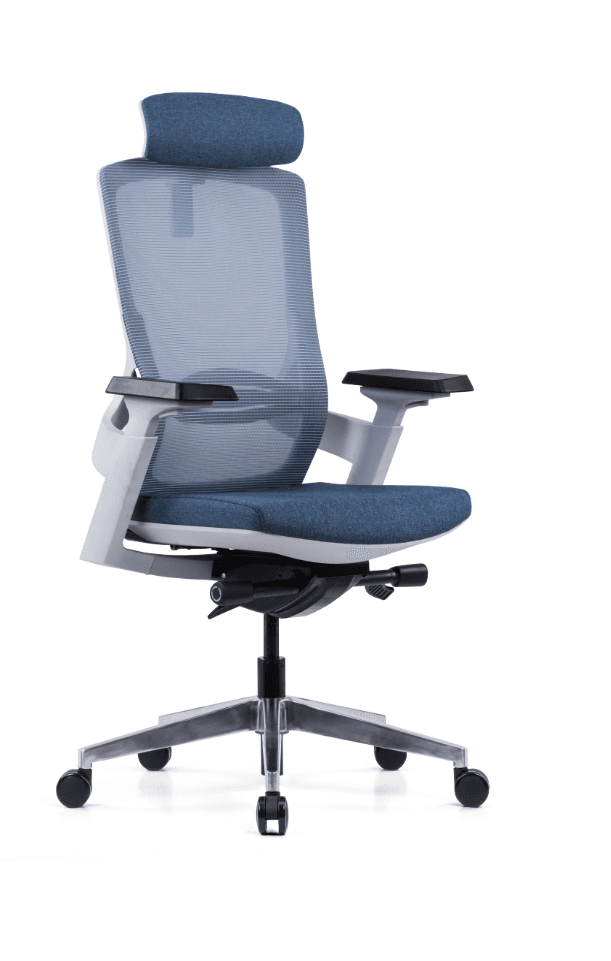 MAMBA B Mid-Back Office Chair
